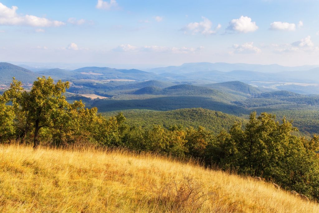 Családosok és sportolók is találnak majd kikapcsolódási lehetőséget.