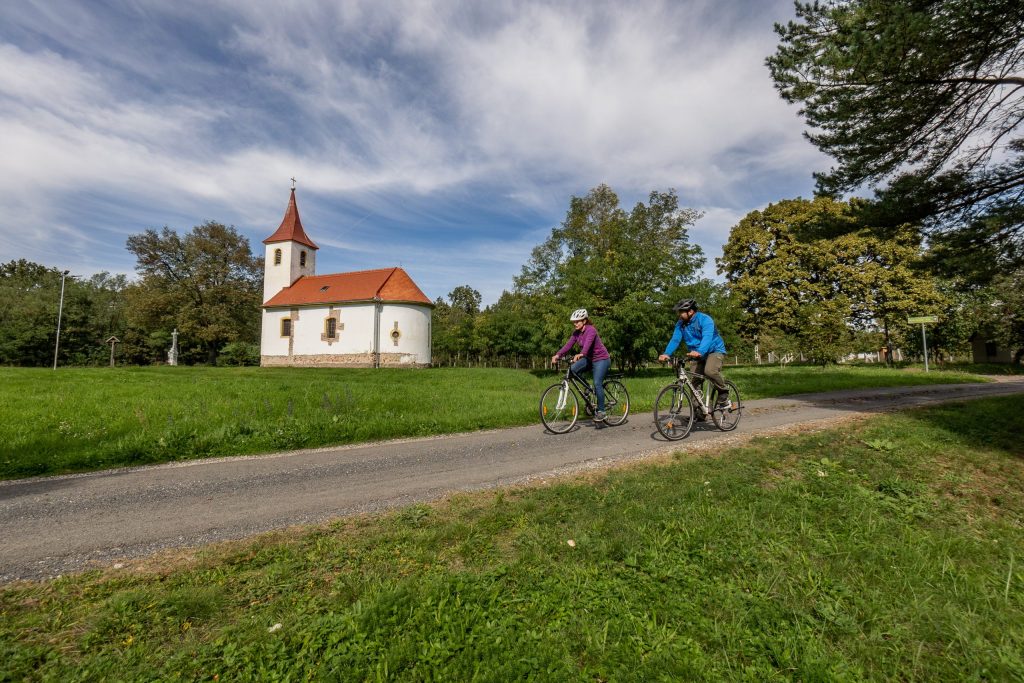 Új lendületet kap a Vasi-hegyhát aktív turizmusa. Egy konferencia keretein belül alakítják ki a résztvevők a fejlesztési irányokat.