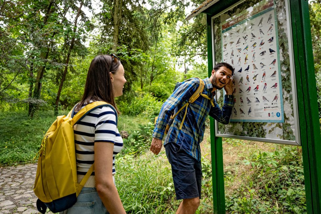 Kampányainkkal a szabadtéri mozgás kultúráját teremtjük meg.