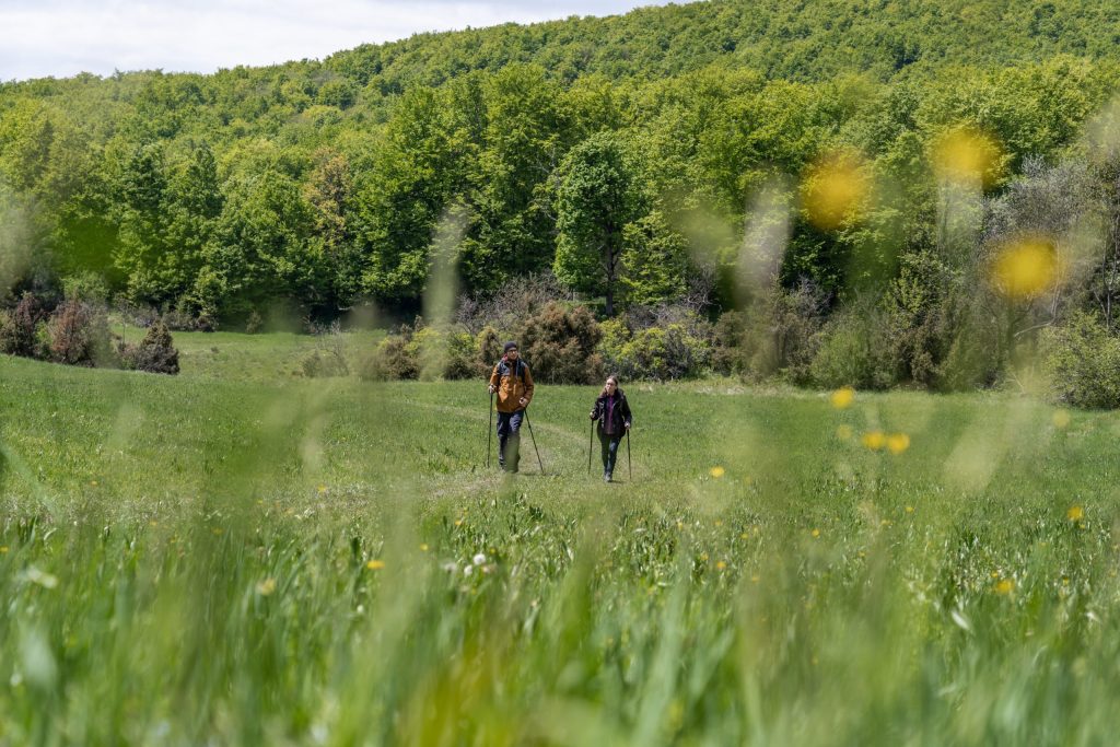 A Tisza-tó aktív víziturisztikai fejlesztése - Jász-Nagykun-Szolnok vármegye