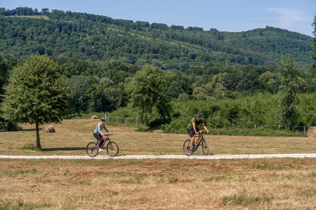 TOP_PLUSZ-6.1.4-23-GM2-2025-00002