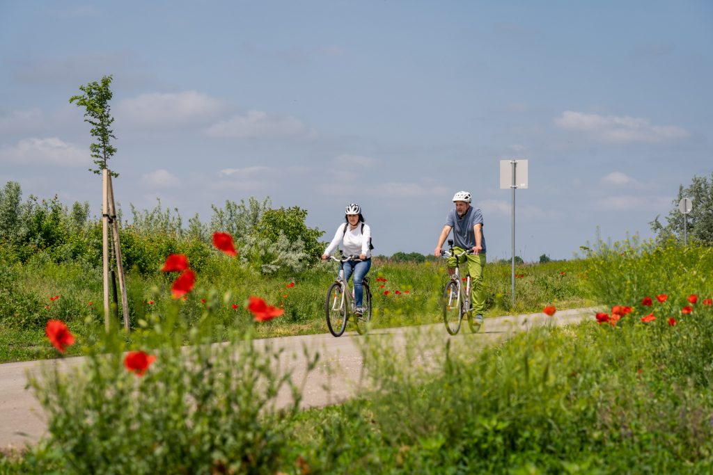 TOP_PLUSZ-6.1.4-23-GM2-2025-00002