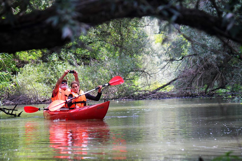 TOP_PLUSZ-6.1.4-23-GM2-2025-00002