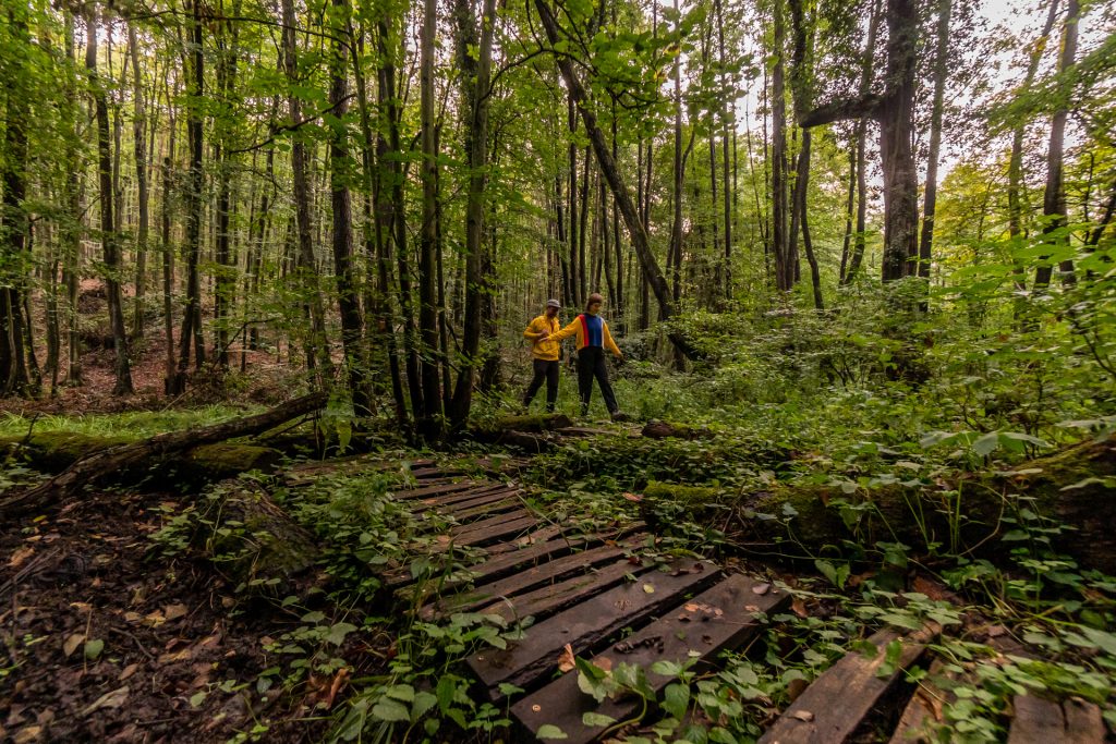 TOP_PLUSZ-6.1.4-23-GM2-2025-00002